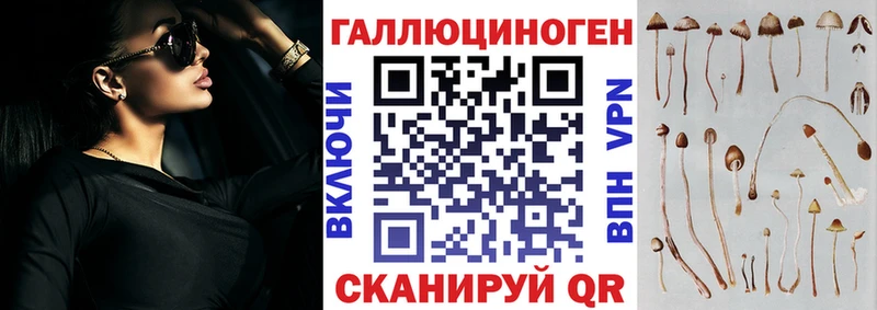 Галлюциногенные грибы Psilocybe  hydra ONION  Новый Оскол 